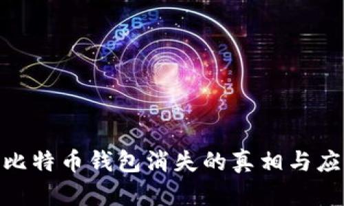 : 当年比特币钱包消失的真相与应对措施