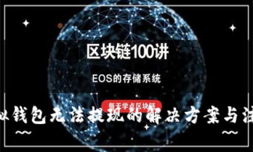 GSE虚拟钱包无法提现的解决方案与注意事项
