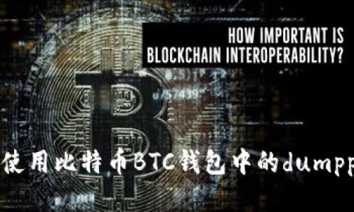 如何安全地使用比特币BTC钱包中的dumpprivkey功能