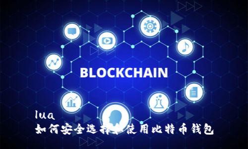 lua
如何安全选择和使用比特币钱包