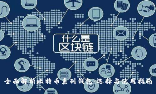 全面解析比特币系列钱包：选择与使用指南
