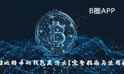 存储比特币的钱包是什么？完整指南与使用技巧