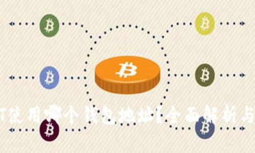 USDT使用哪个钱包地址？全面解析与推荐