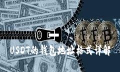 USDT的钱包地址格式详解