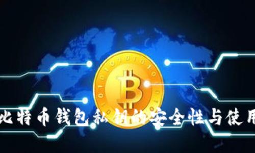 早期比特币钱包私钥的安全性与使用指南