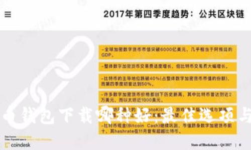 个人比特币钱包下载哪种好：最佳选项与选择指南