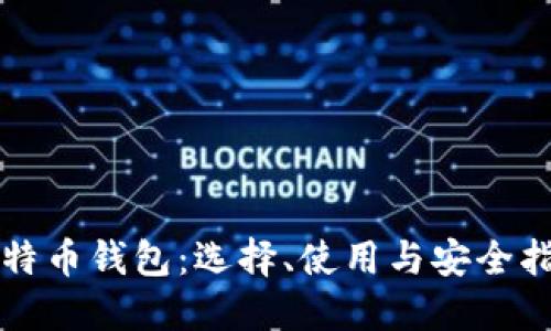 比特币钱包：选择、使用与安全指南