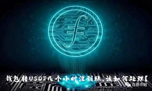 钱包转USDT几个小时没到账，该如何处理？