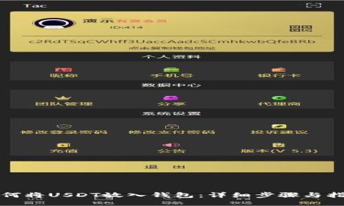 如何将USDT放入钱包：详细步骤与指南
