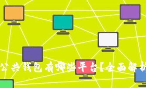 区块链公共钱包有哪些平台？全面解析与比较