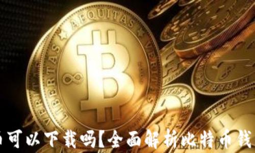 
比特币钱包的币可以下载吗？全面解析比特币钱包的使用与管理