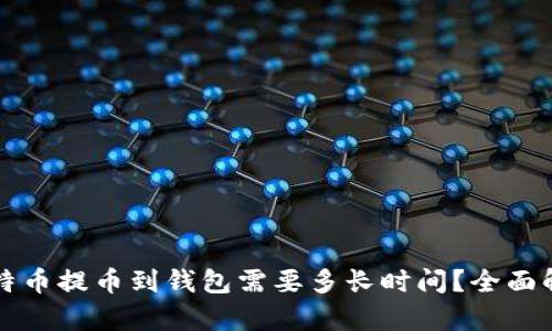 比特币提币到钱包需要多长时间？全面解析