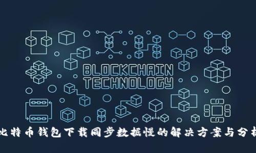 比特币钱包下载同步数据慢的解决方案与分析