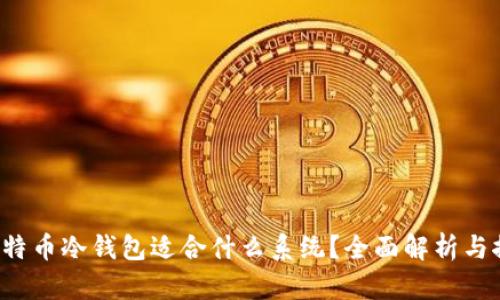  比特币冷钱包适合什么系统？全面解析与推荐