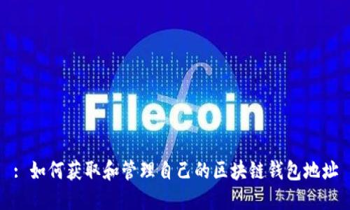 : 如何获取和管理自己的区块链钱包地址