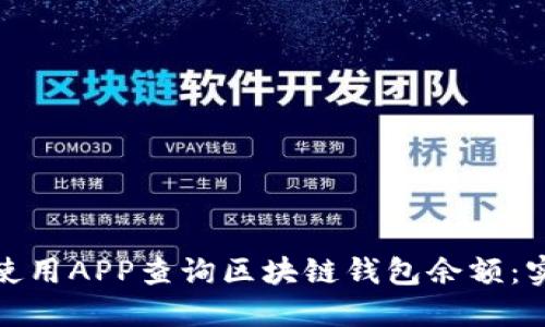 : 如何使用APP查询区块链钱包余额：实用指南