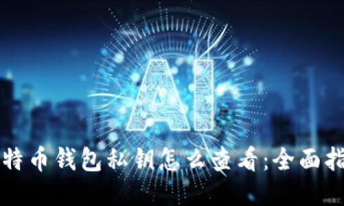 比特币钱包私钥怎么查看：全面指南