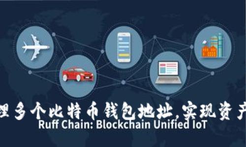 如何有效管理多个比特币钱包地址，实现资产安全与便捷