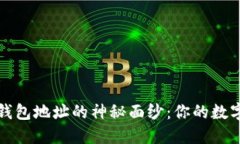 揭开比特币钱包地址的神