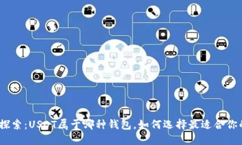 : 深入探索：USDT属于哪种钱包，如何选择最适合你的选项？