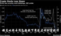 提高比特币钱包数据下载