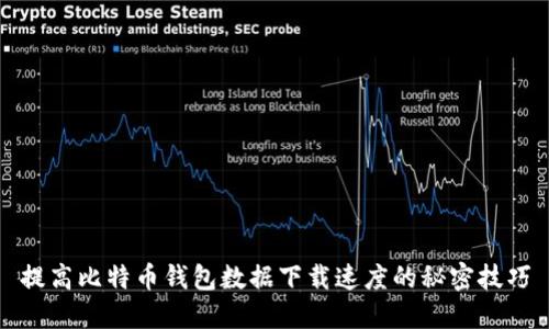 提高比特币钱包数据下载速度的秘密技巧