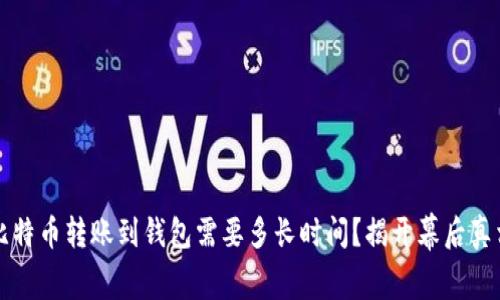 比特币转账到钱包需要多长时间？揭开幕后真相