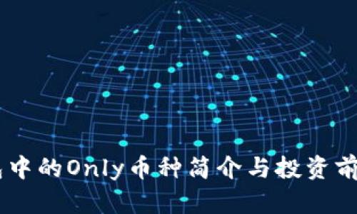IM钱包中的Only币种简介与投资前景分析