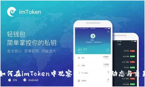 如何在imToken中观察他人的钱包动态与交易