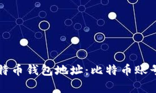 如何理解比特币钱包地址：比特币账号的全面解析