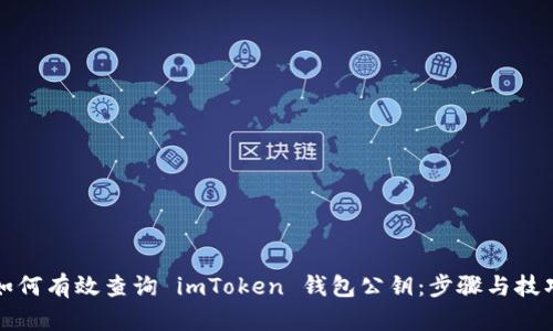 如何有效查询 imToken 钱包公钥：步骤与技巧