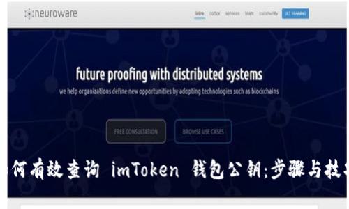 如何有效查询 imToken 钱包公钥：步骤与技巧