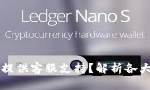 比特币钱包是否提供客服支持？解析各大钱包的服务体系