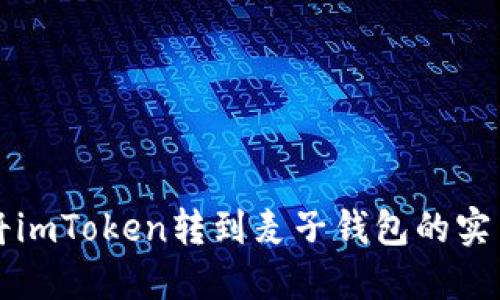 轻松将imToken转到麦子钱包的实用指南