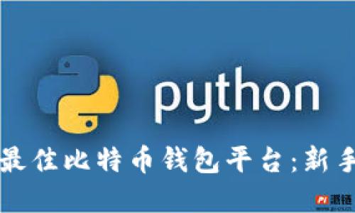 如何选择最佳比特币钱包平台：新手必看指南