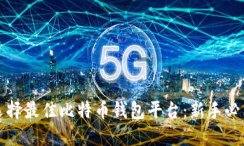 如何选择最佳比特币钱包平台：新手必看指南