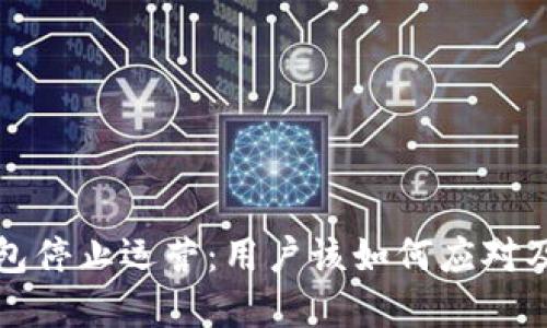 以太坊钱包停止运营：用户该如何应对及未来选择