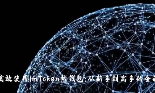 如何高效使用imToken热钱包：从新手到高手的全面指南