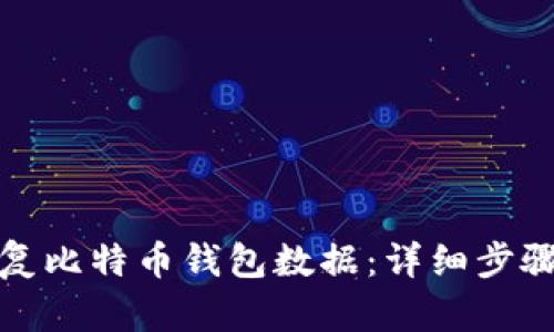 如何轻松恢复比特币钱包数据：详细步骤与实用技巧