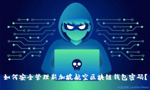 如何安全管理新加坡航空区块链钱包密码？
