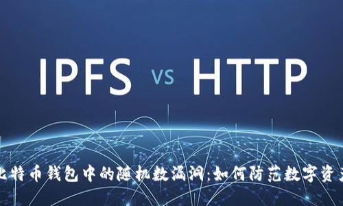 揭露比特币钱包中的随机数漏洞：如何防范数字资产被盗