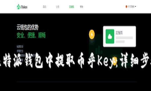 如何在比特派钱包中提取币乎Key：详细步骤与技巧