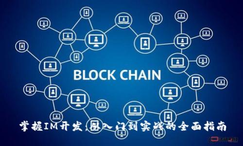 掌握IM开发：从入门到实战的全面指南