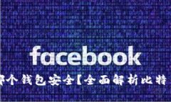 比特币放在哪个钱包安全？全面解析比特币钱包