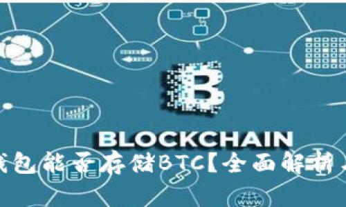 imToken钱包能否存储BTC？全面解析与使用指南