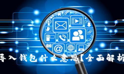 : imToken导入钱包什么意思？全面解析与使用指南