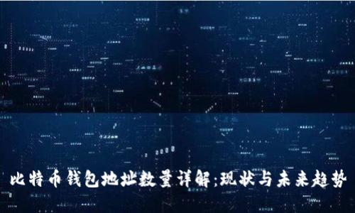 比特币钱包地址数量详解：现状与未来趋势
