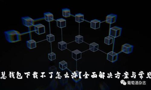 区块链智慧钱包下载不了怎么办？全面解决方案与常见问题解答
