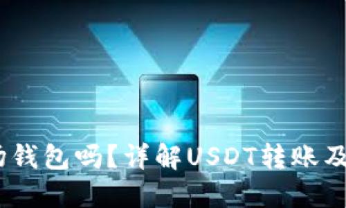 USDT能转到波场钱包吗？详解USDT转账及波场钱包的使用