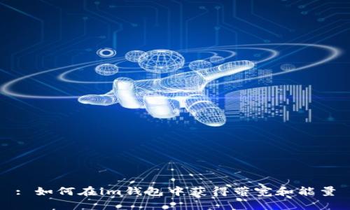 : 如何在im钱包中获得带宽和能量